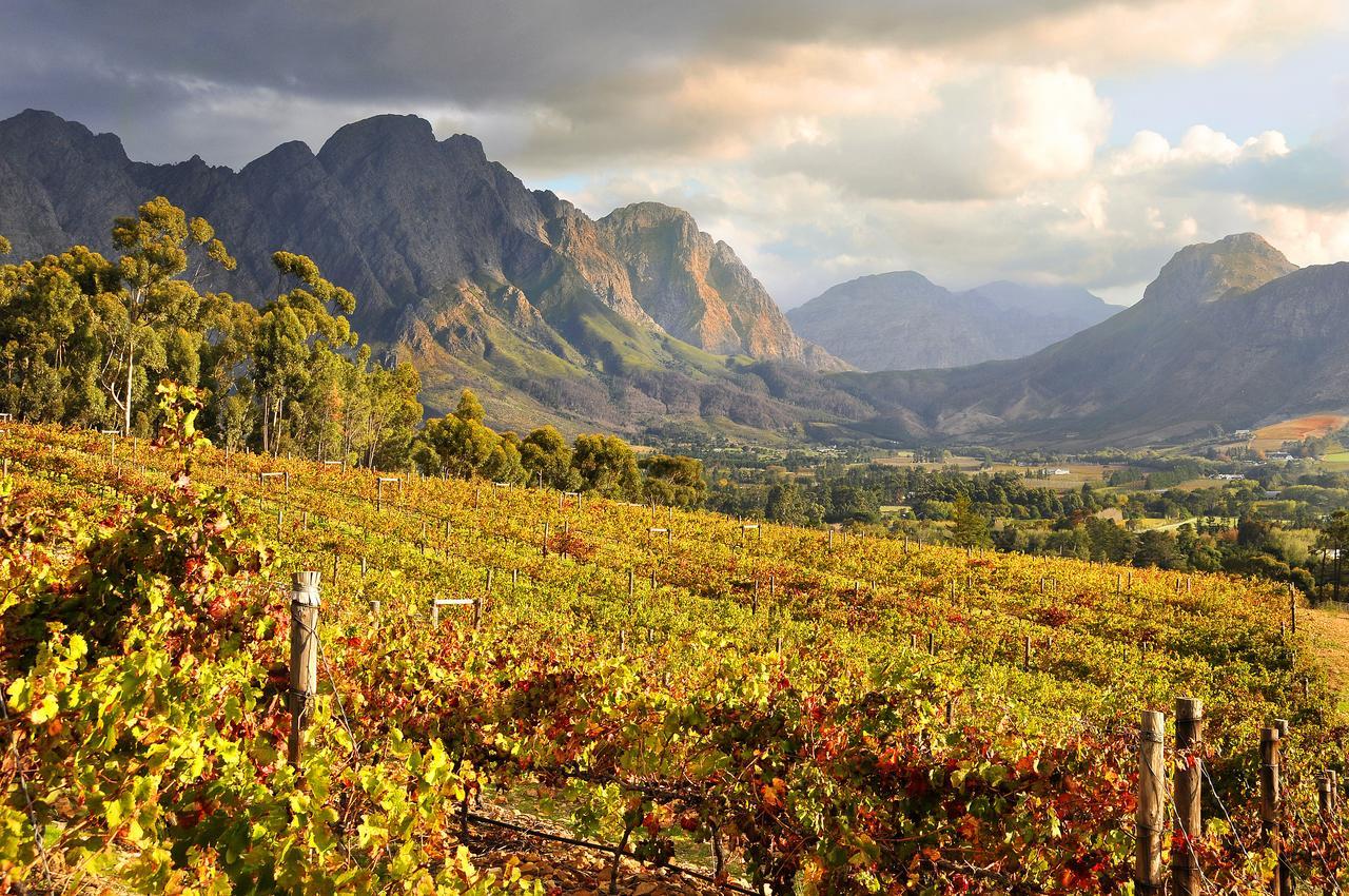 La Petite Ferme Hotell Franschhoek Exteriör bild